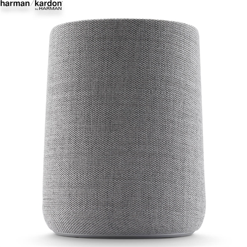 Loa Harman Kardon Citation ONE 2